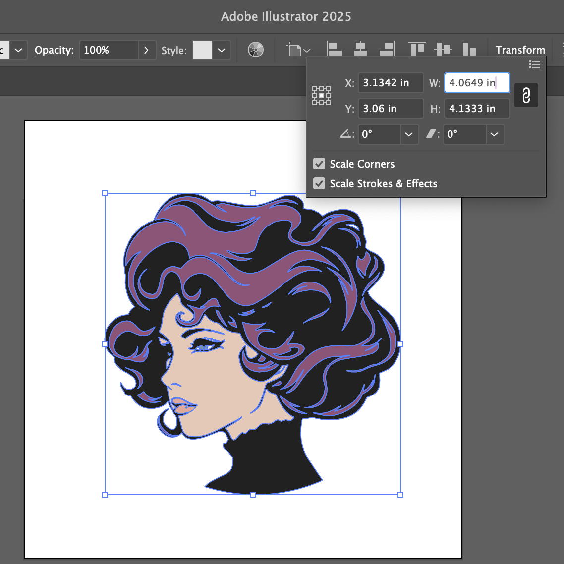 How to find the size and dimensions of your artwork in Photoshop, Procreate and Adobe Illustrator - Alchemy Merch